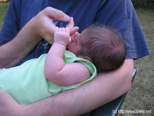 2006-06-18/IMG_8754.JPG