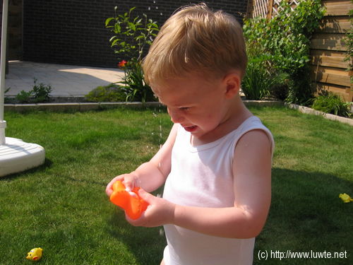 2006-06-30/IMG_8803.JPG