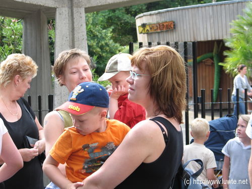 2006-07-08/IMG_3632.JPG
