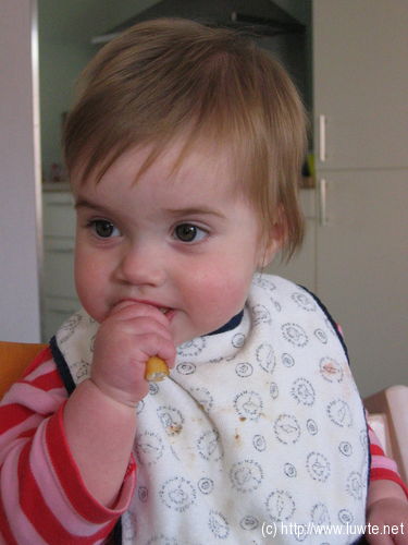 2007-04-20/IMG_9469.JPG